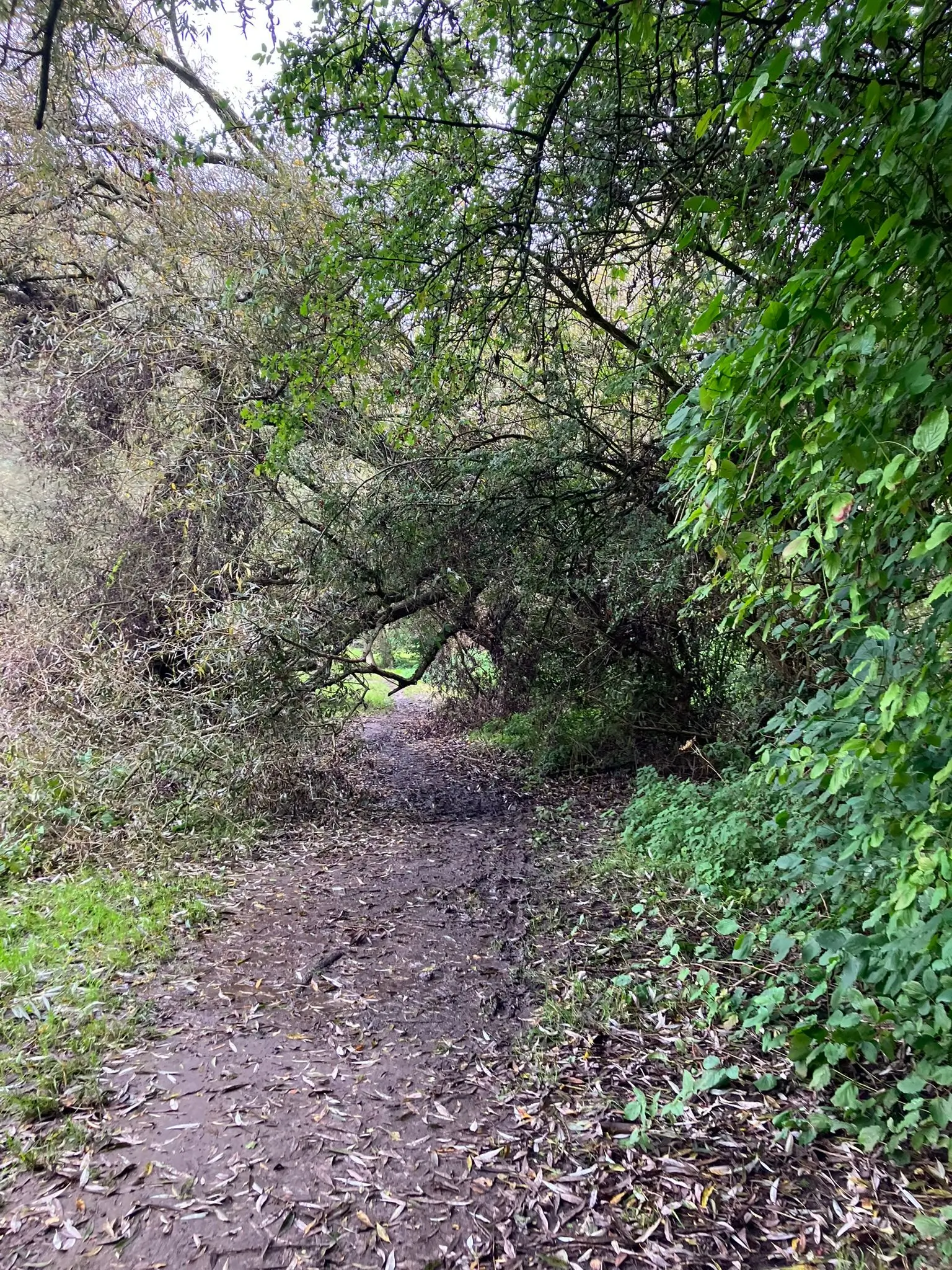 Wandeling afbeelding