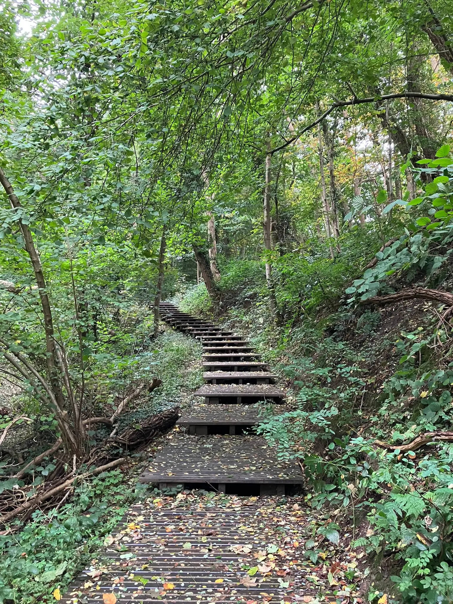 Wandeling afbeelding