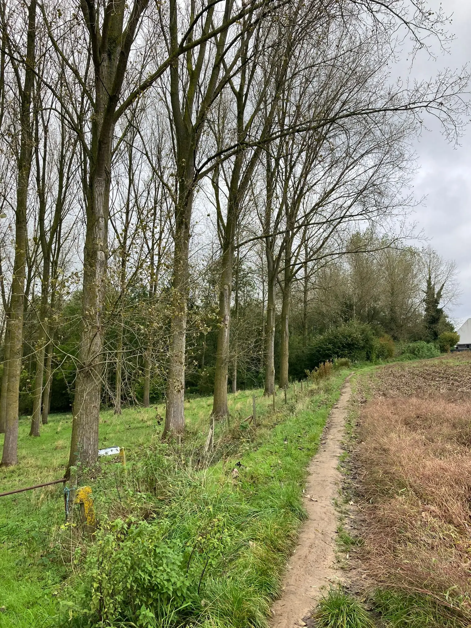Wandeling afbeelding