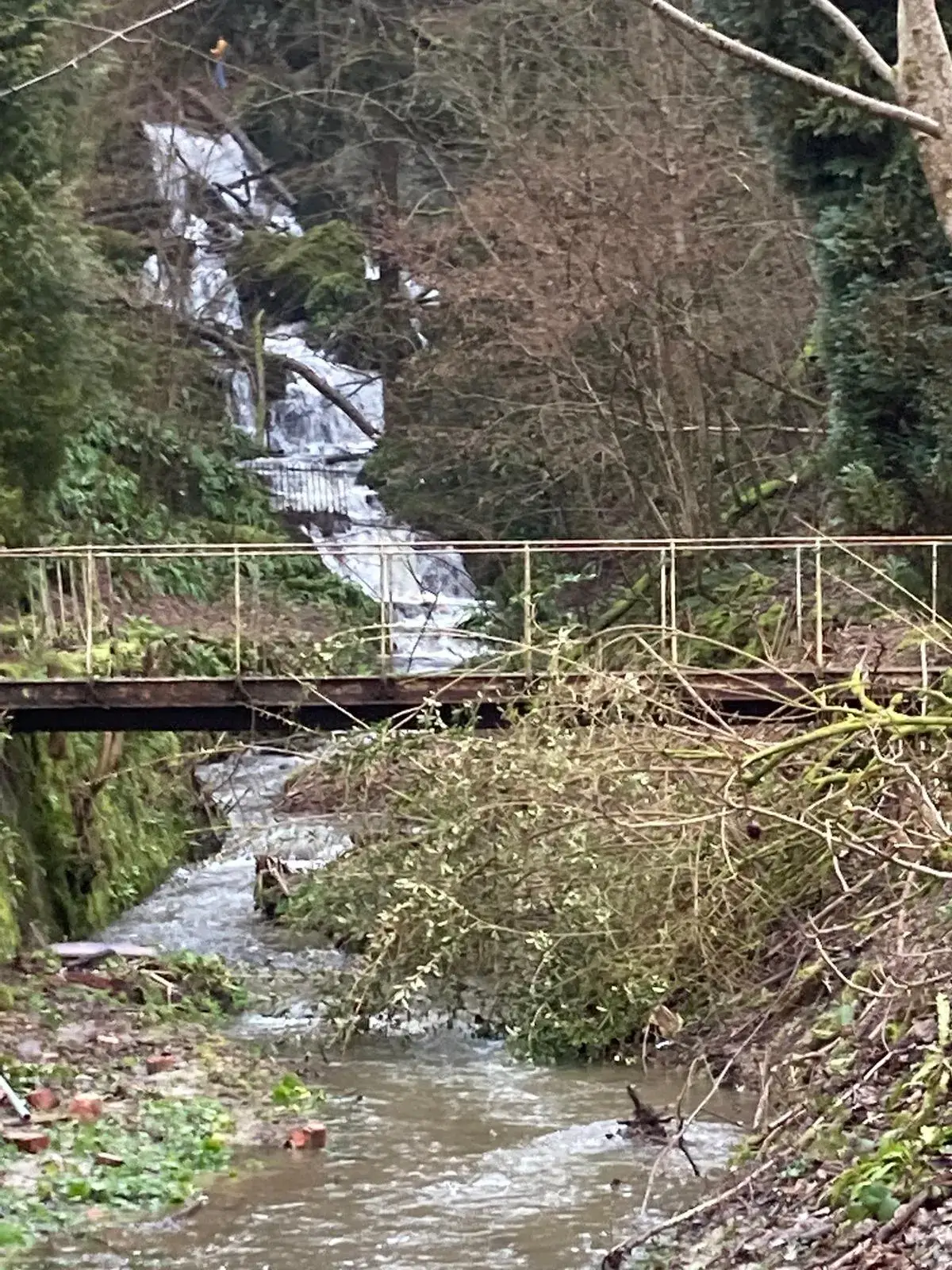 Wandeling afbeelding