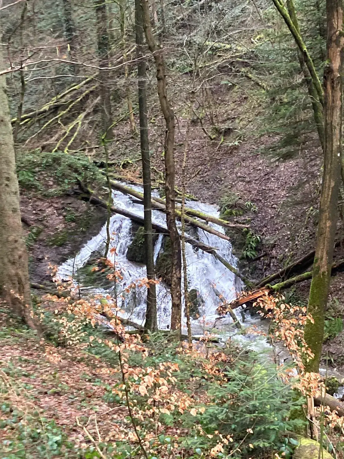 Wandeling afbeelding