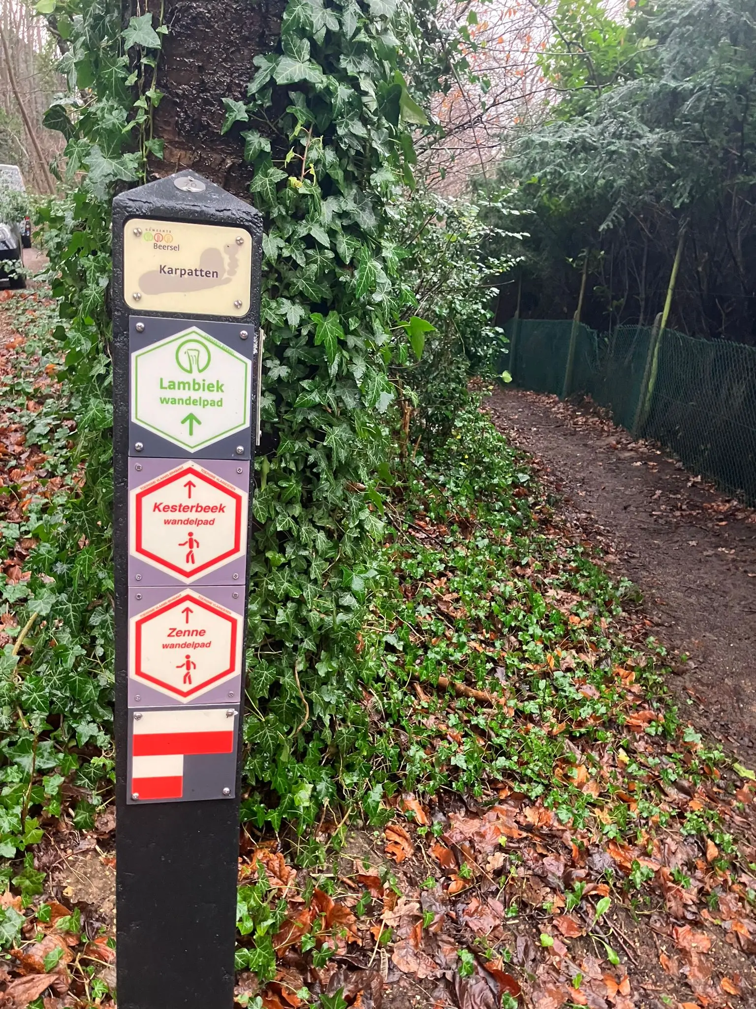 Wandeling afbeelding