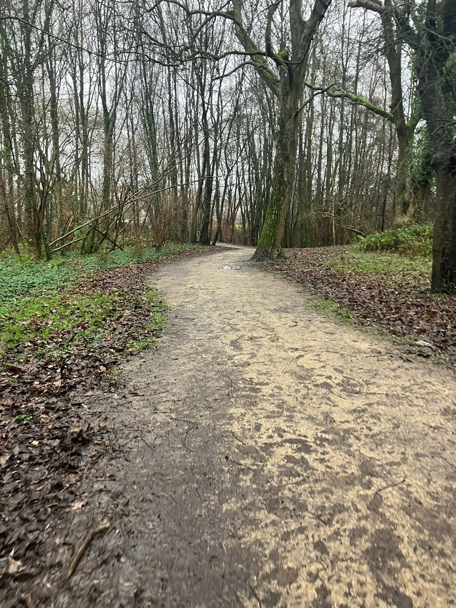 Wandeling afbeelding