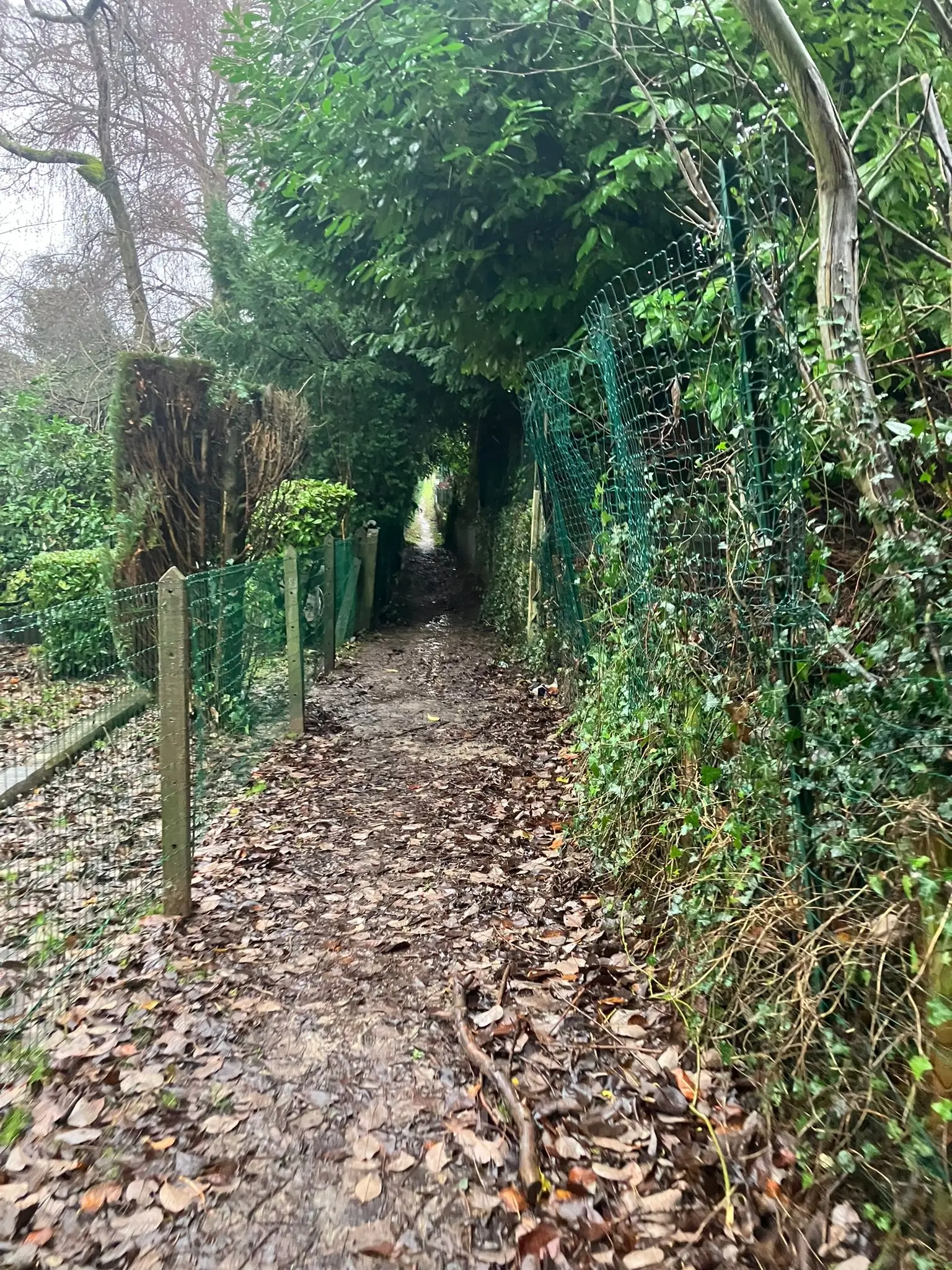 Wandeling afbeelding