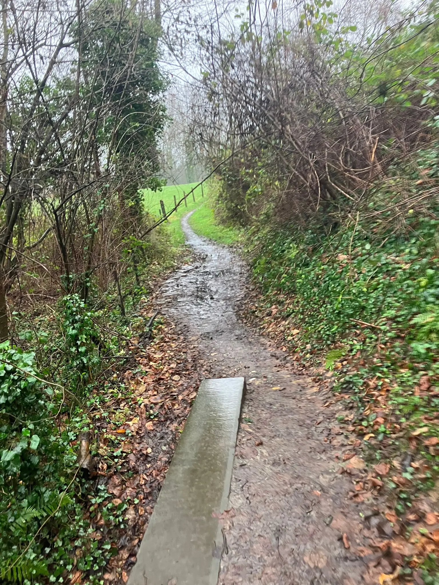 Wandeling afbeelding