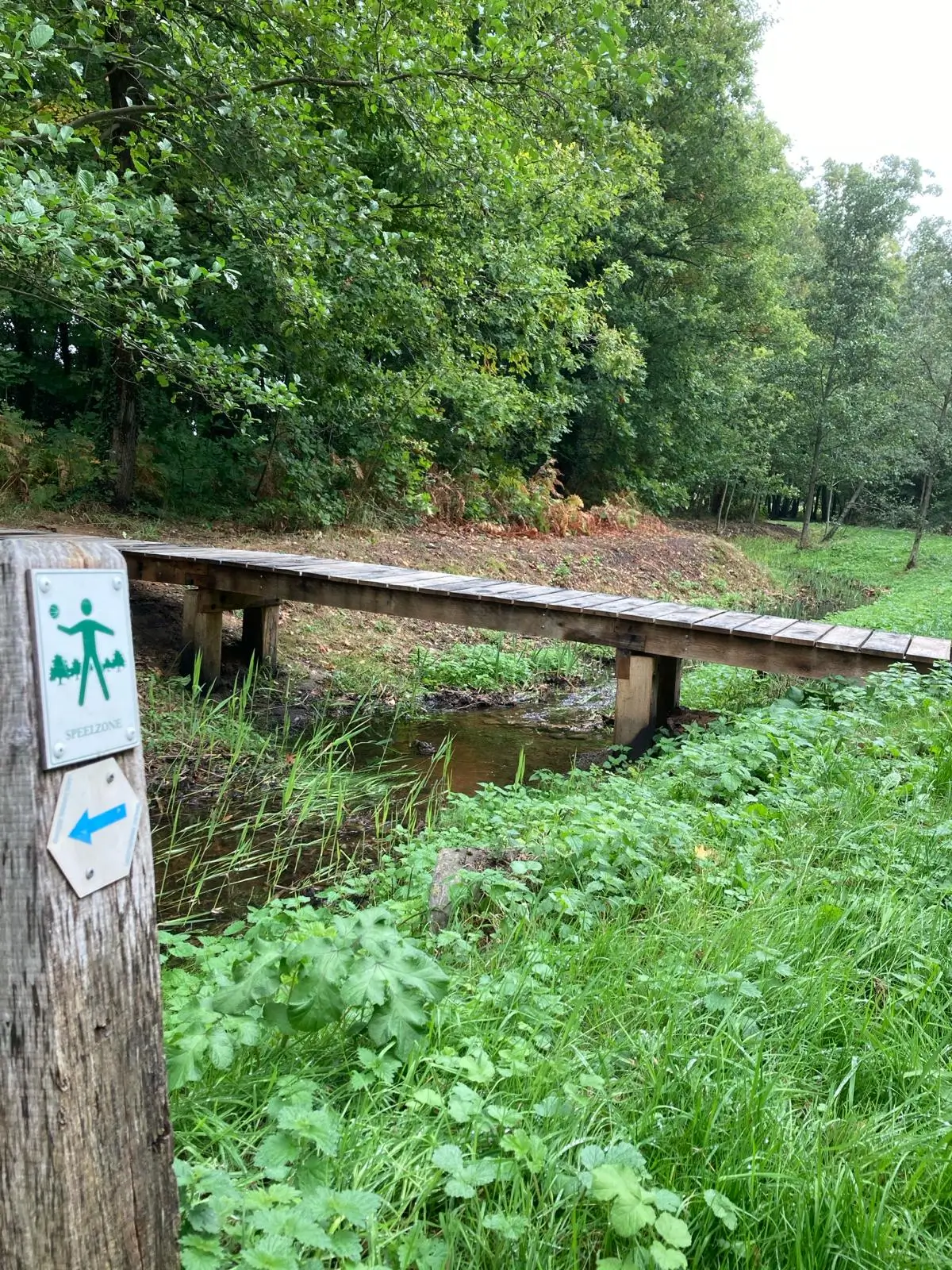 Wandeling afbeelding