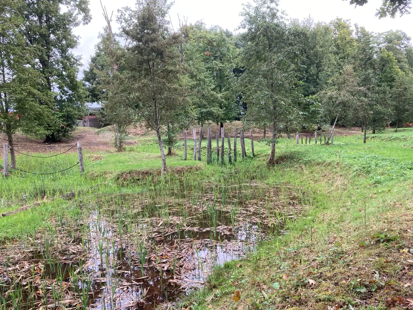 Wandeling afbeelding