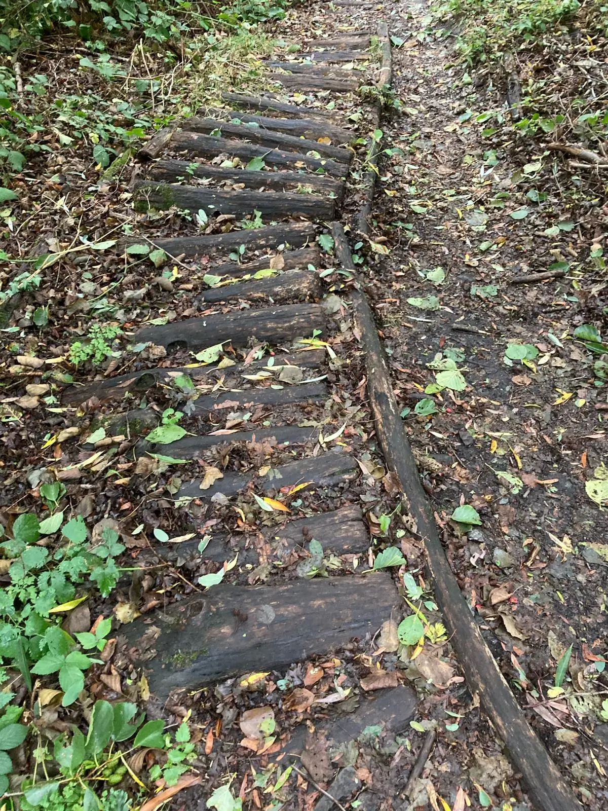 Wandeling afbeelding