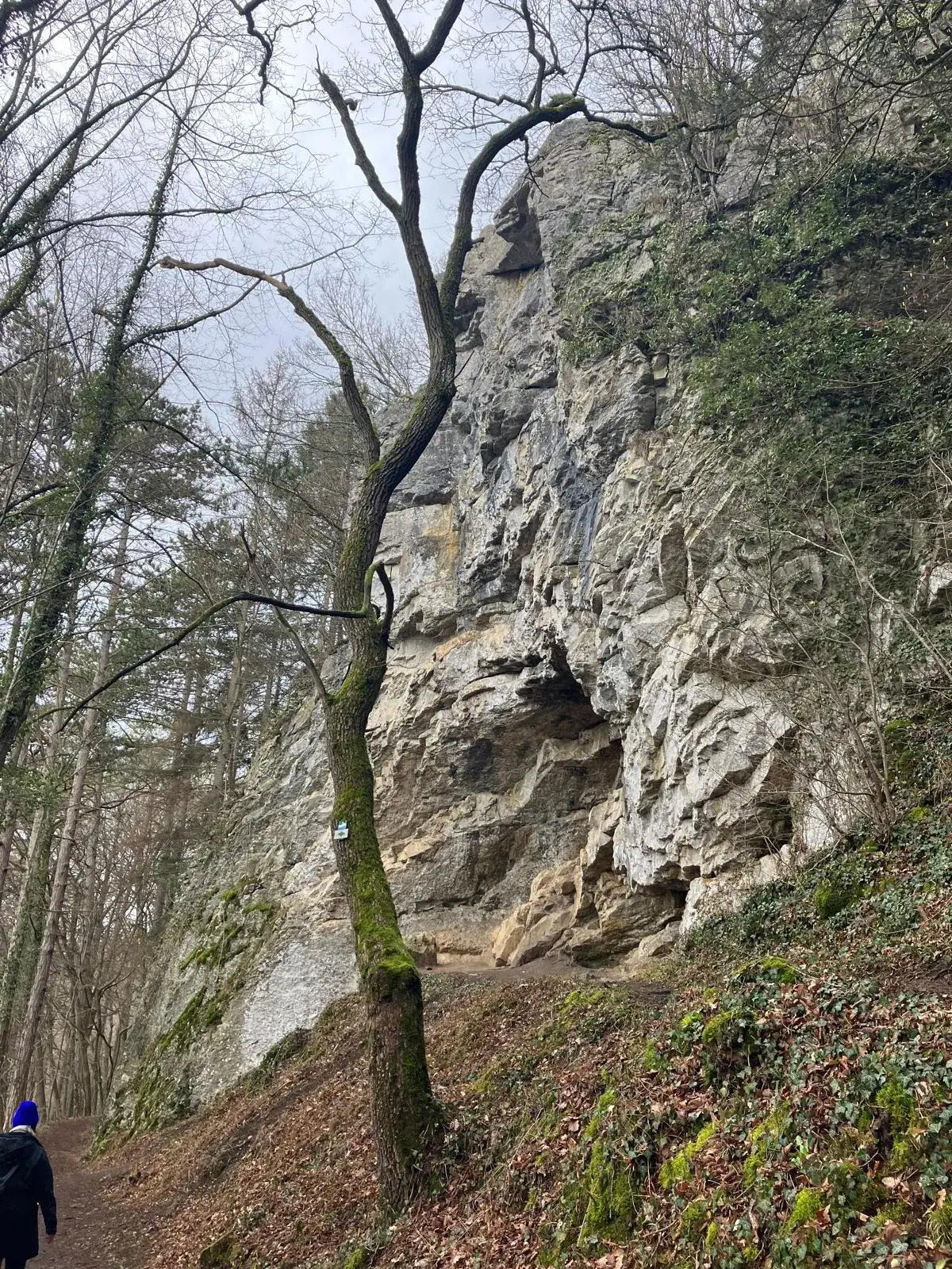 Wandeling afbeelding