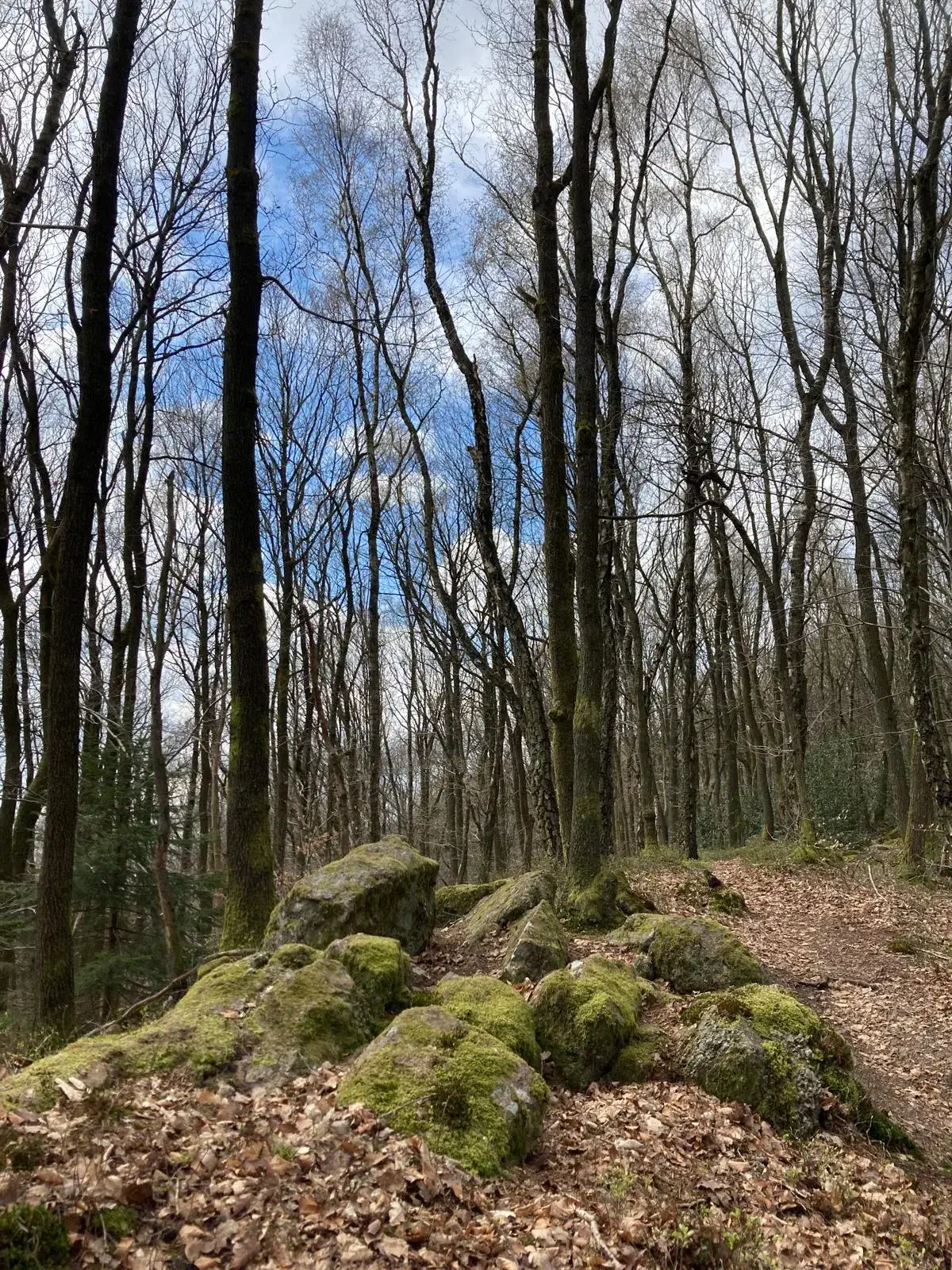 Wandeling afbeelding