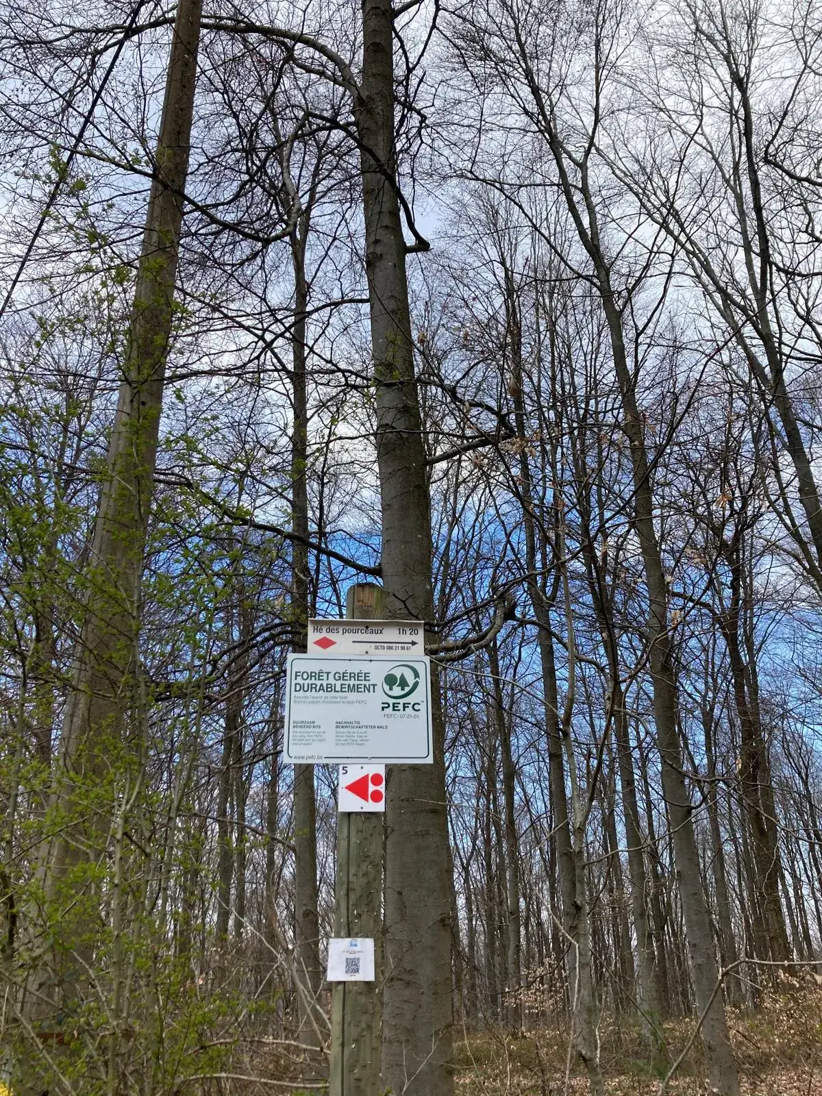 Wandeling afbeelding