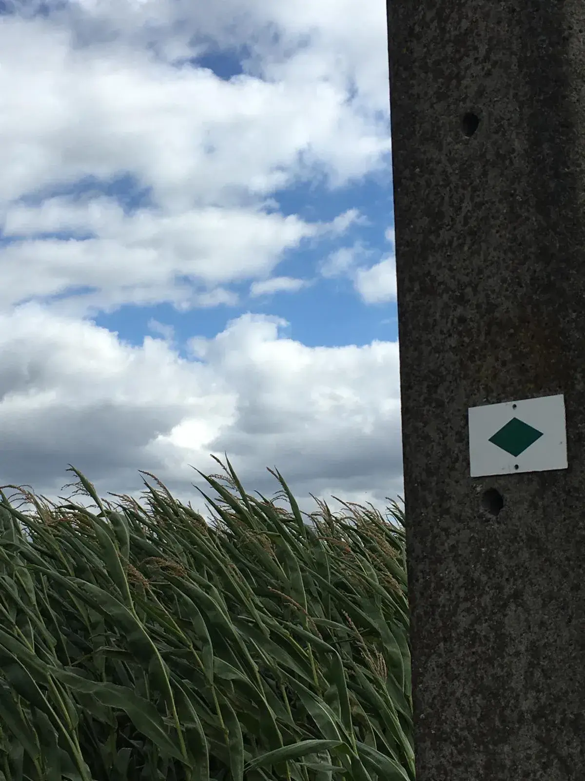 Wandeling afbeelding