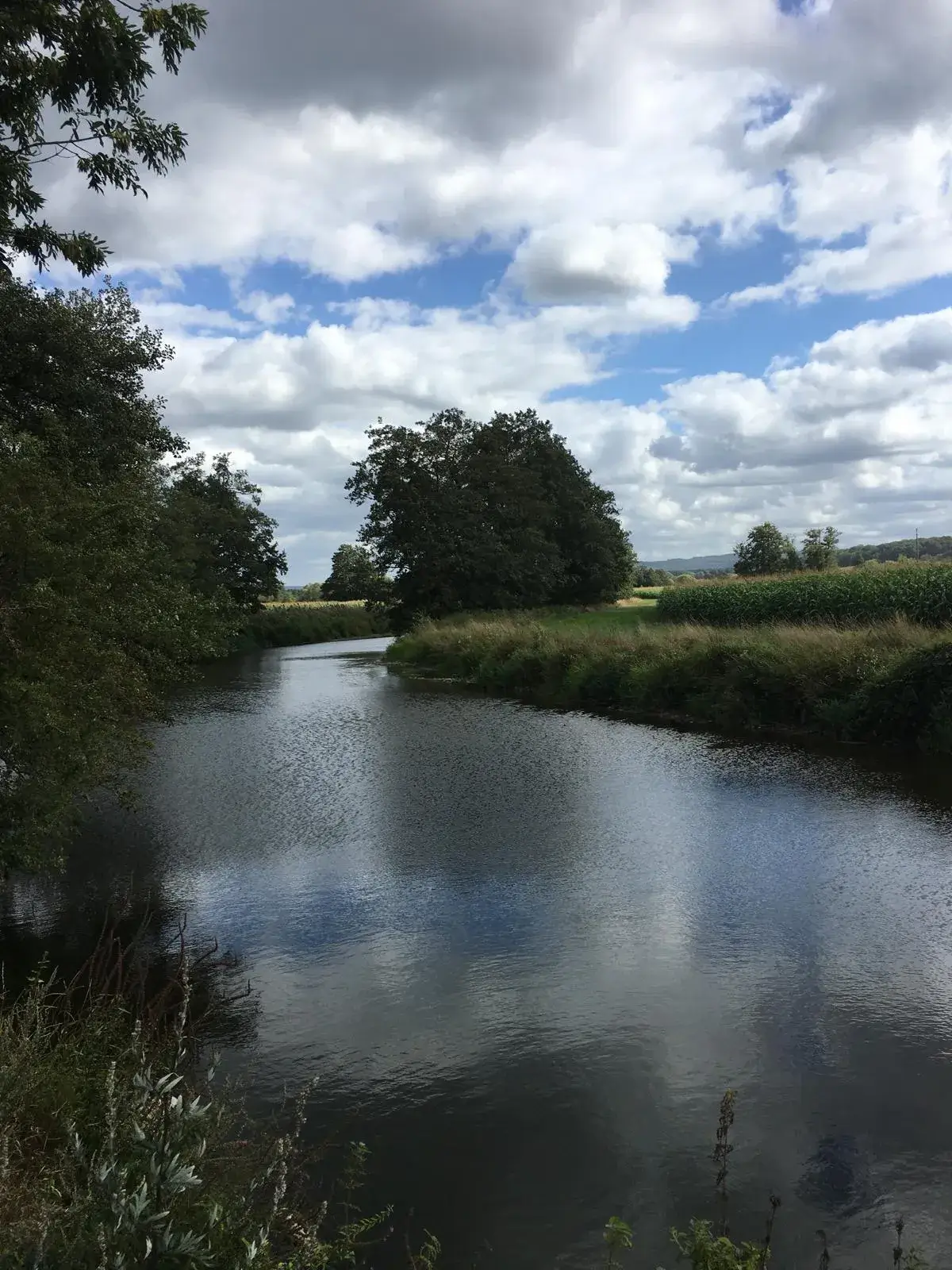 Wandeling afbeelding