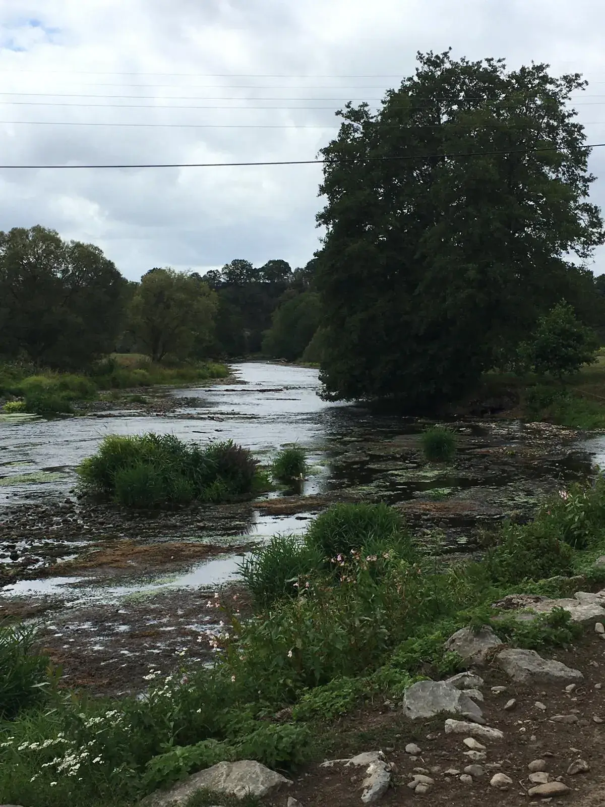 Wandeling afbeelding