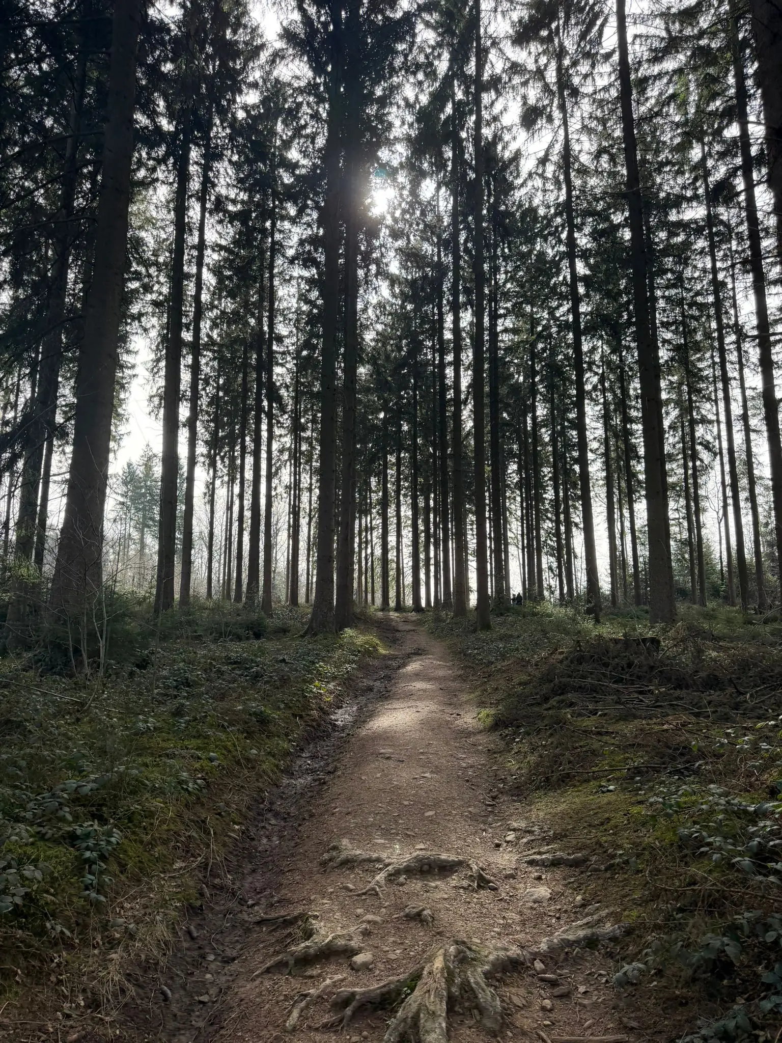 Wandeling afbeelding