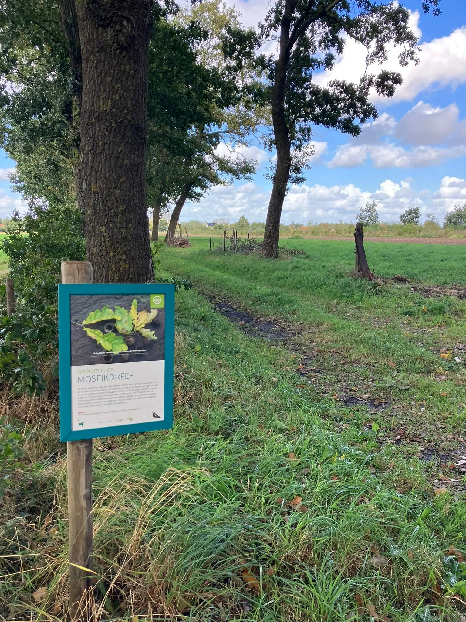 Wandeling afbeelding