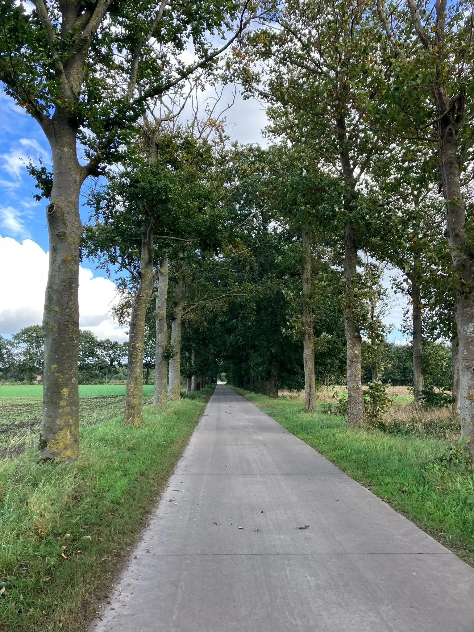 Wandeling afbeelding