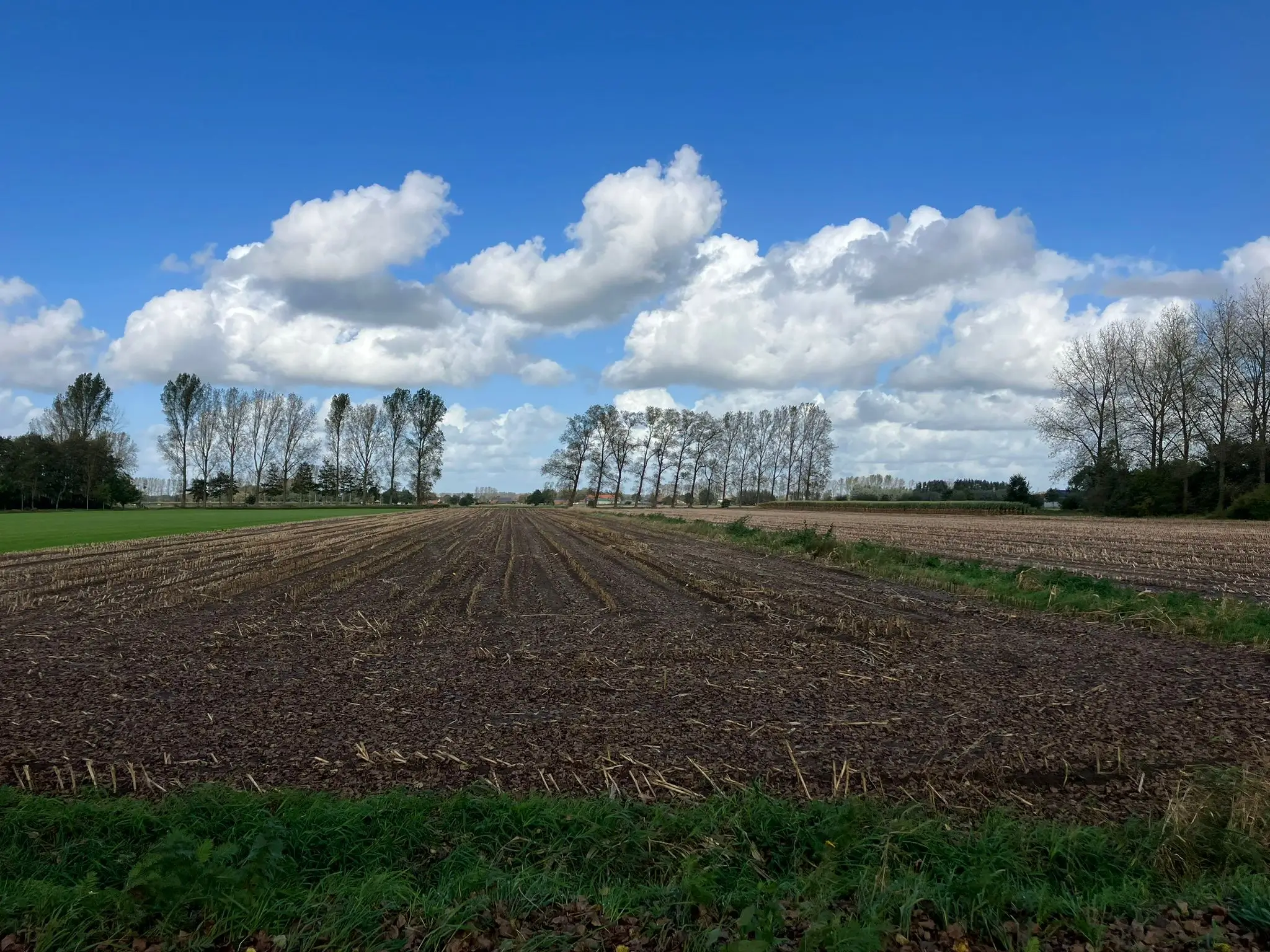 Wandeling afbeelding