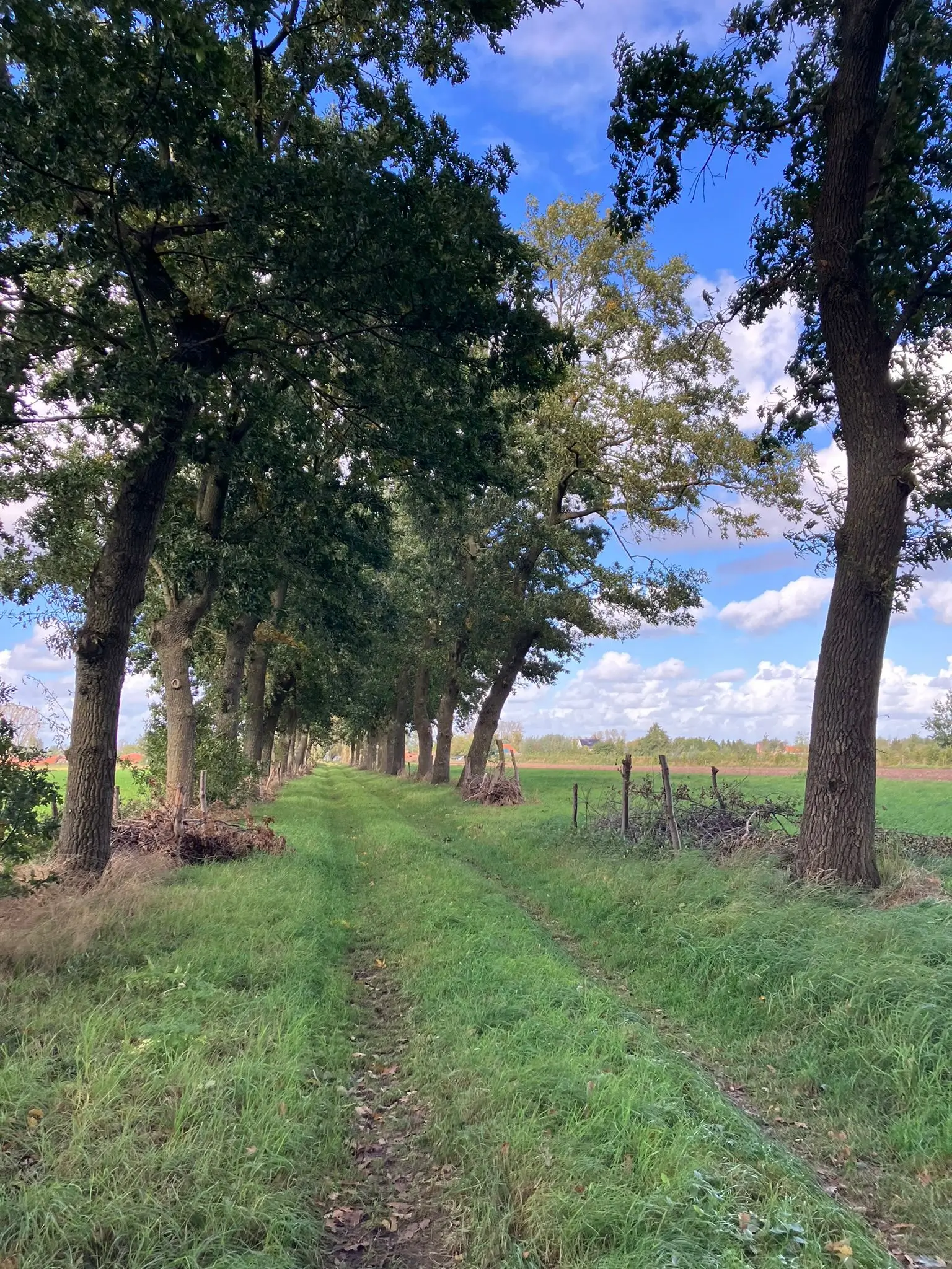Wandeling afbeelding