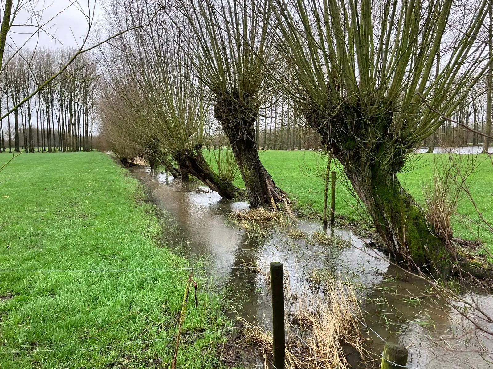 Wandeling afbeelding