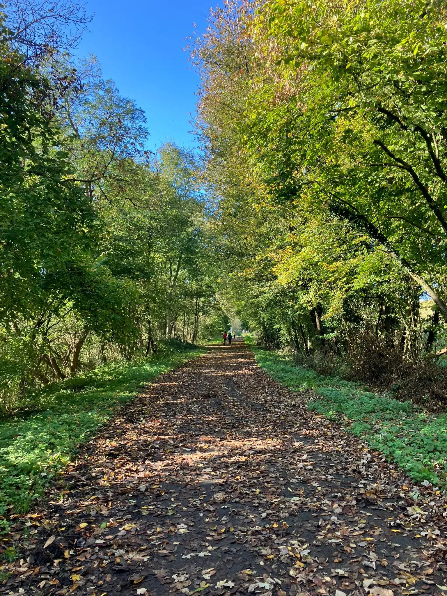 Wandeling afbeelding