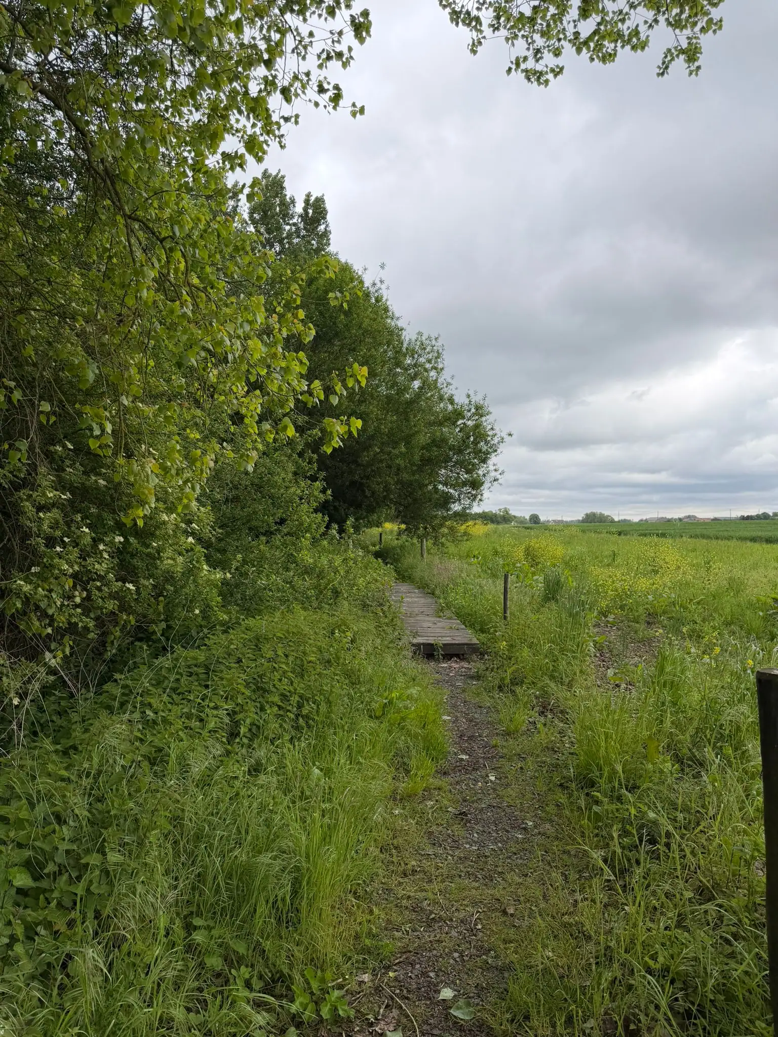 Wandeling afbeelding