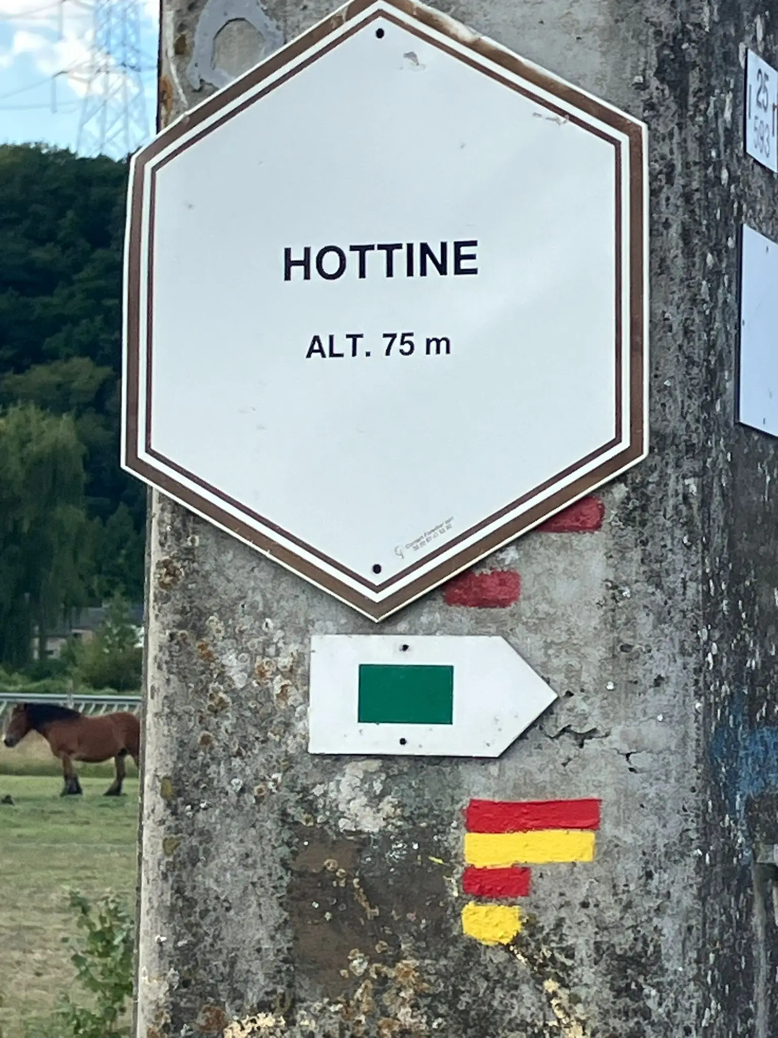 Wandeling afbeelding