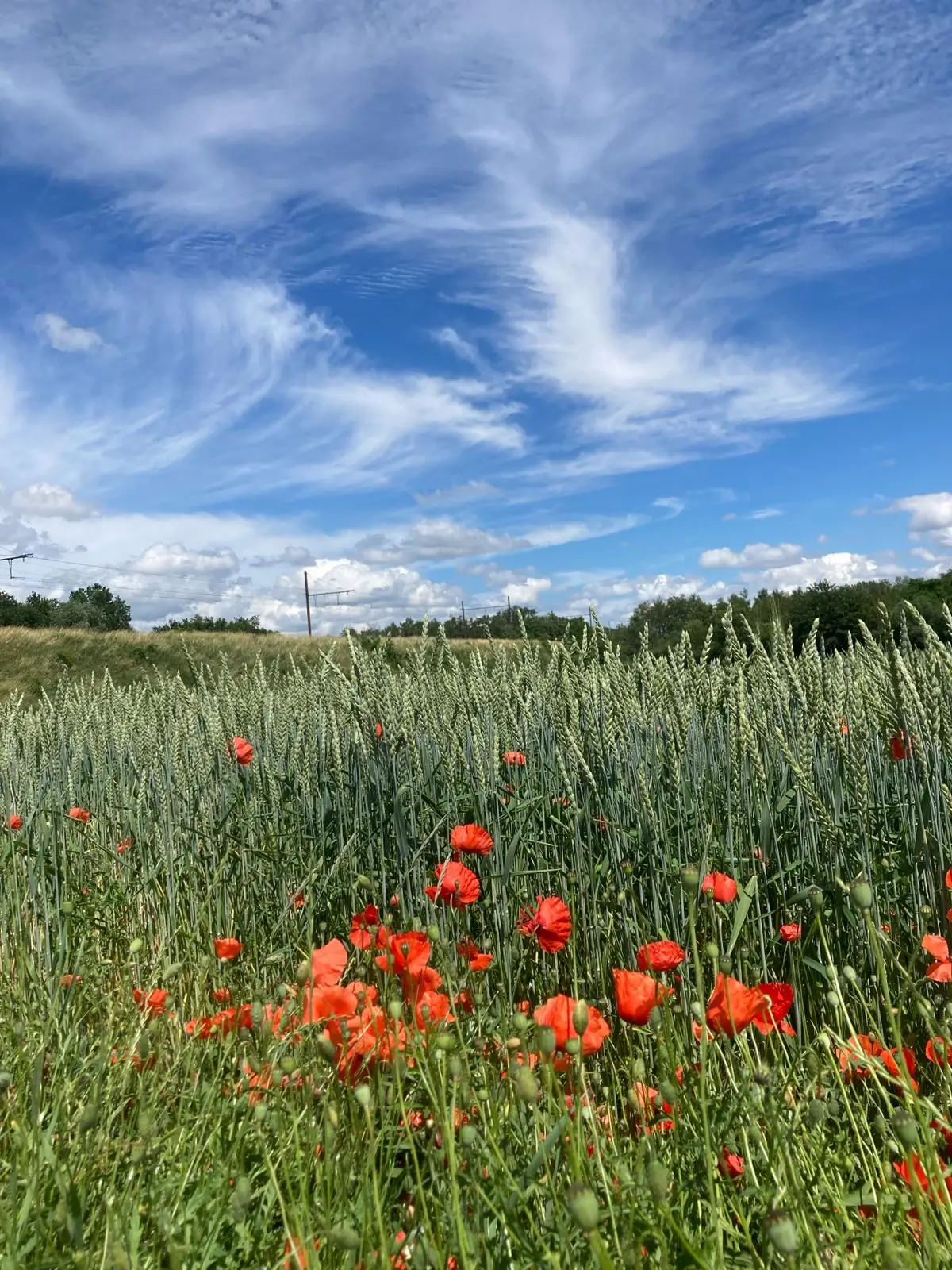 Wandeling afbeelding