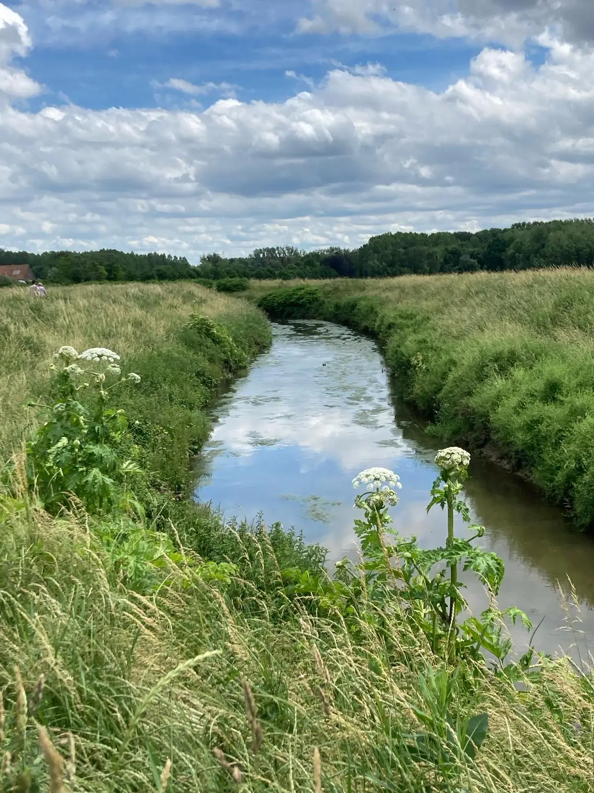 Wandeling afbeelding