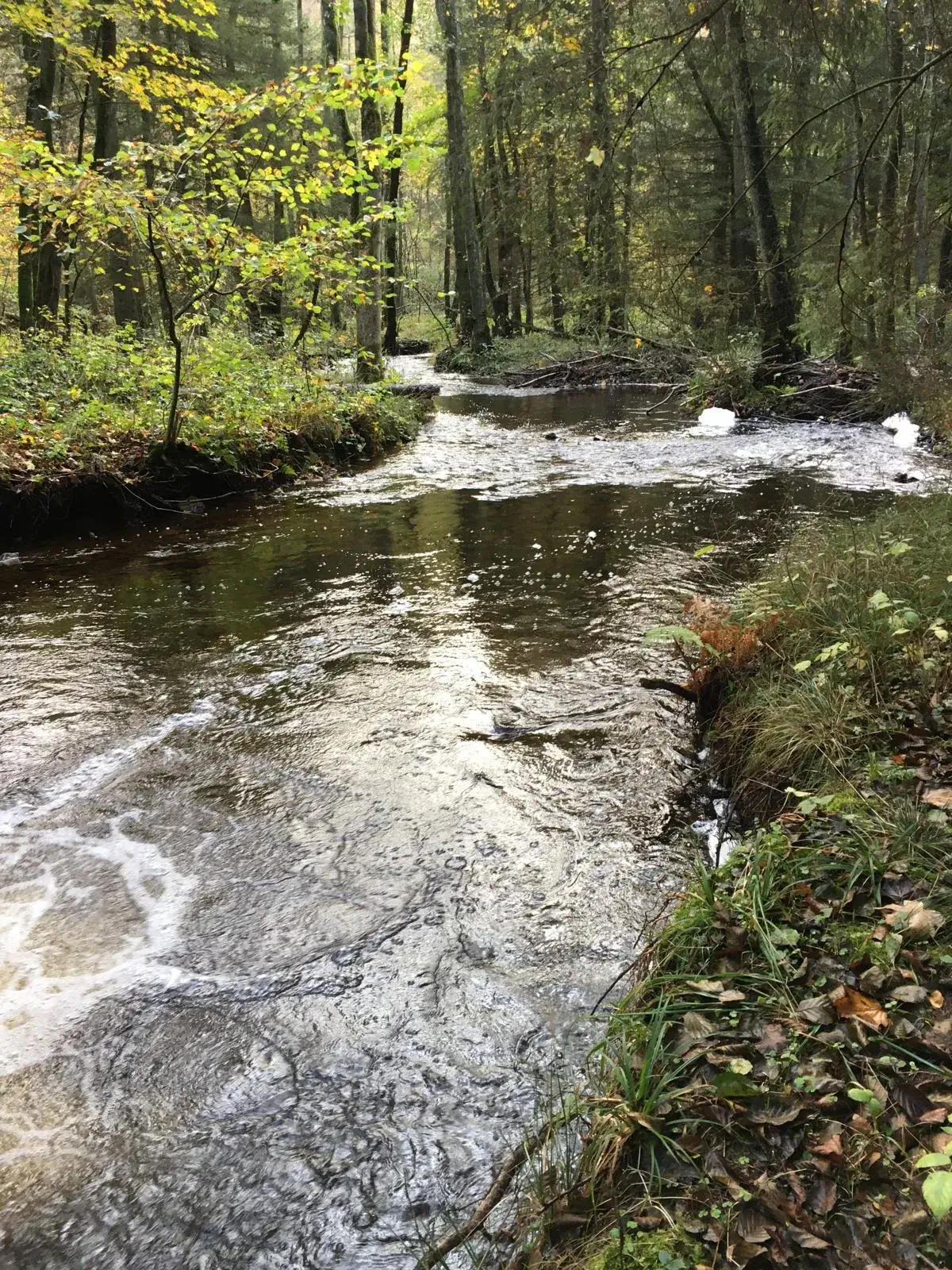 Wandeling afbeelding