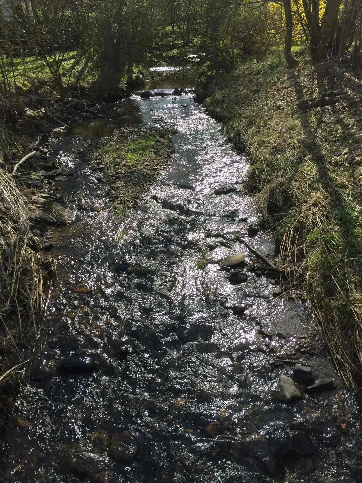 Wandeling afbeelding