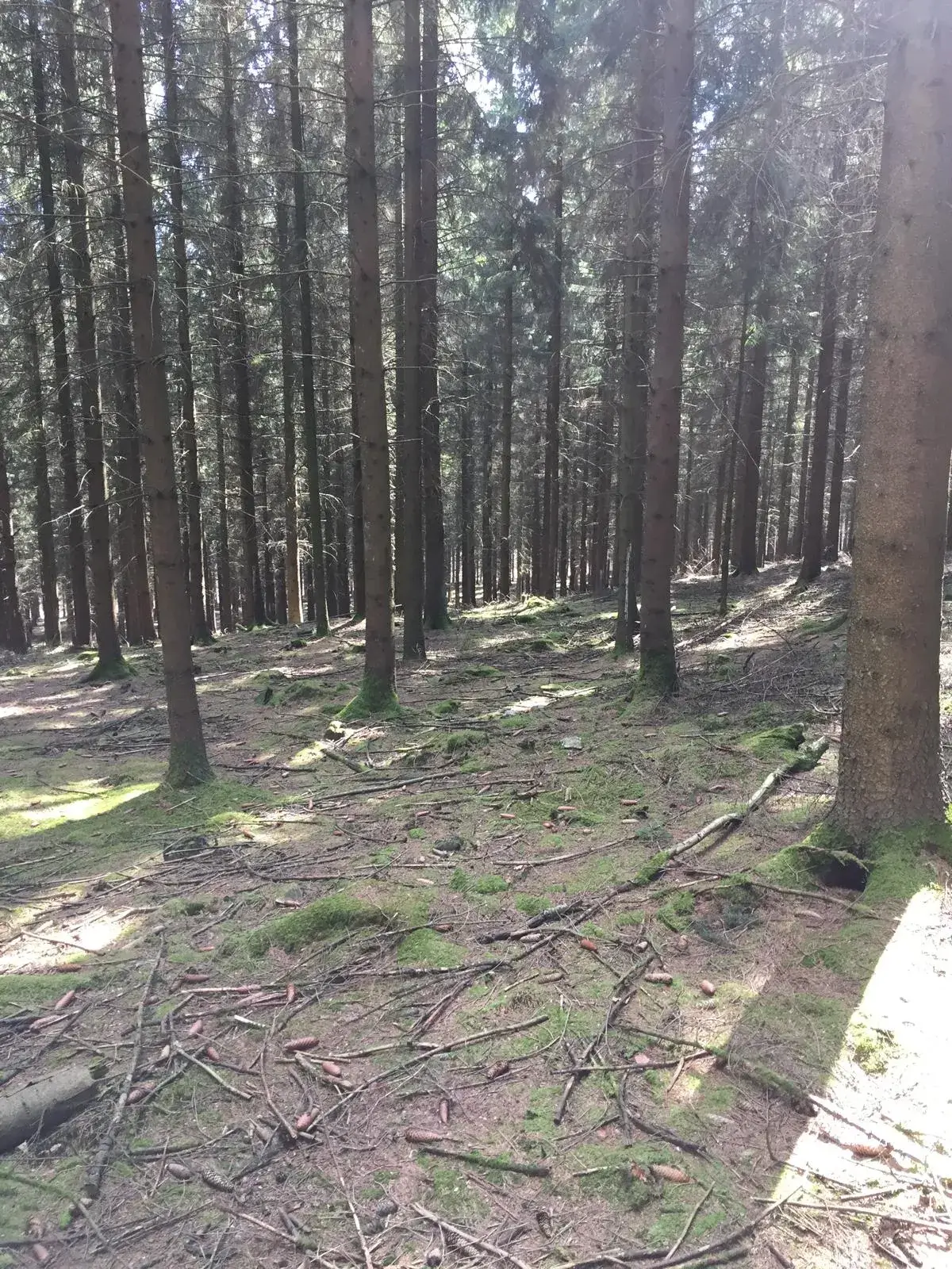 Wandeling afbeelding