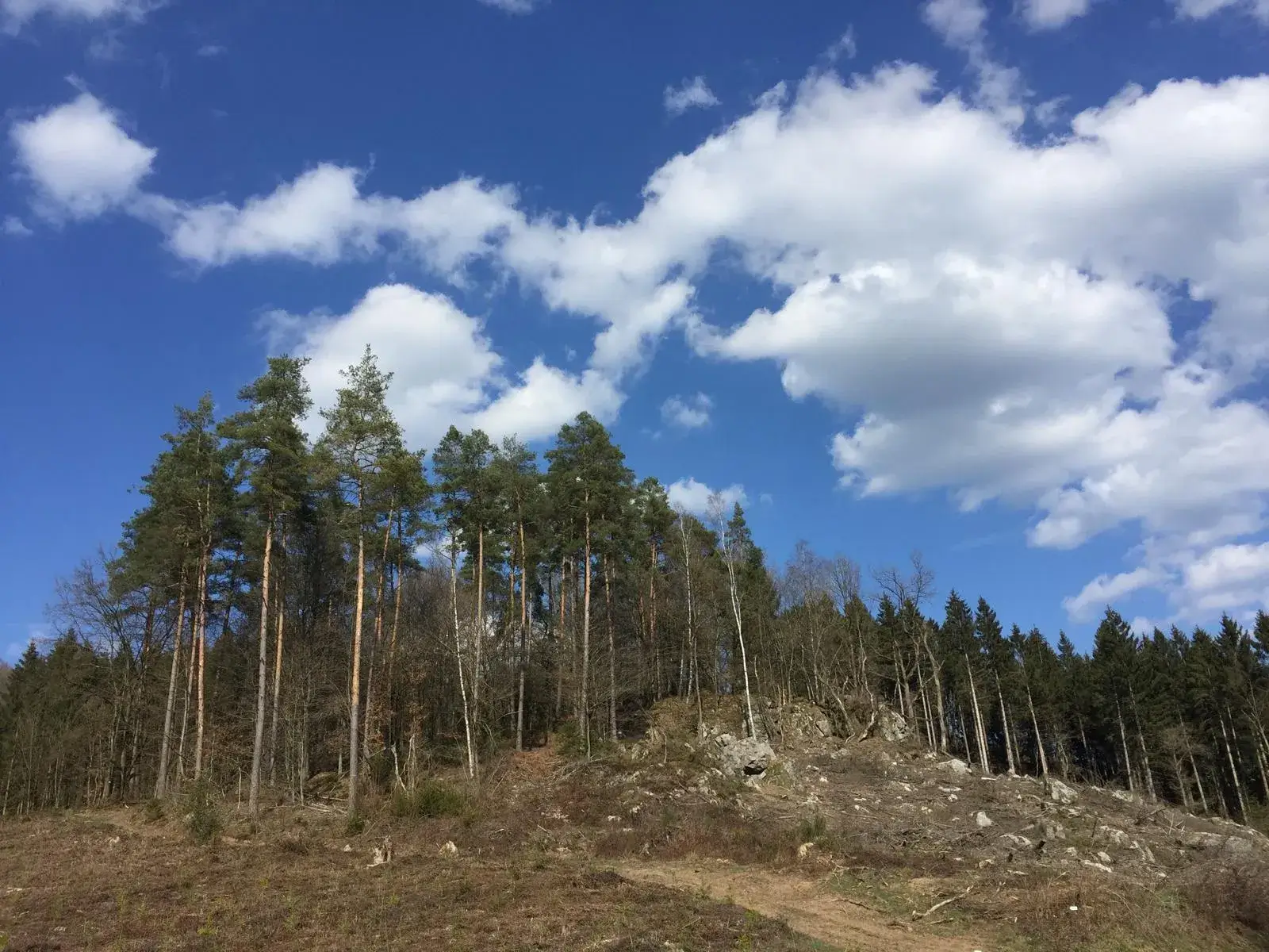 Wandeling afbeelding