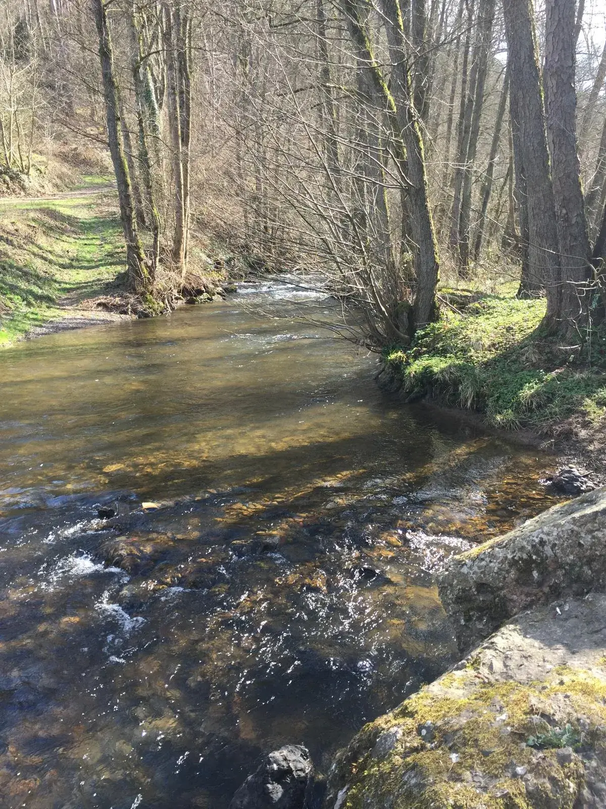 Wandeling afbeelding