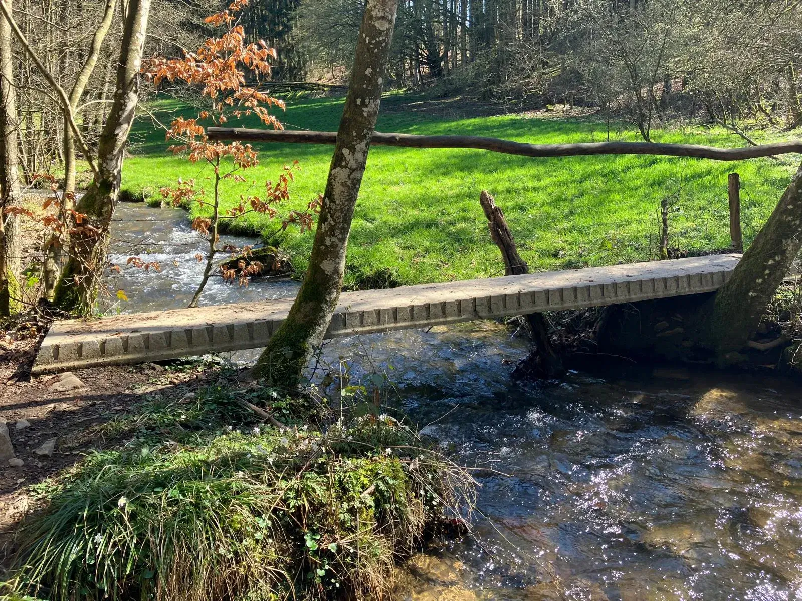 Wandeling afbeelding