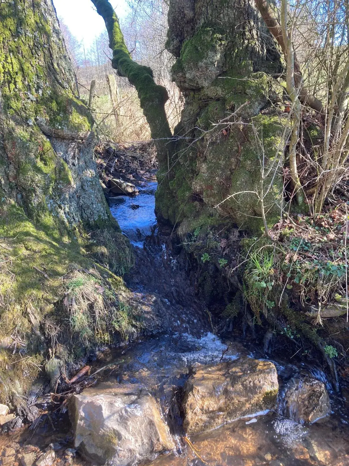 Wandeling afbeelding