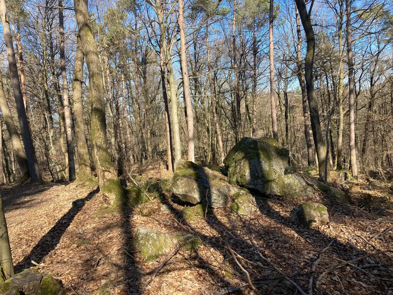 Wandeling afbeelding