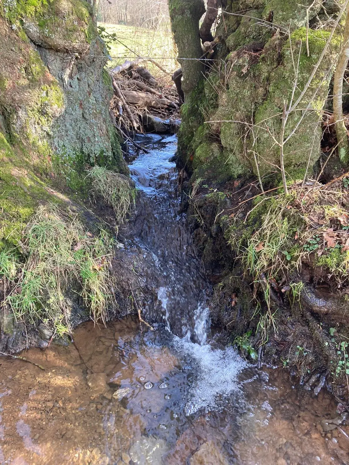 Wandeling afbeelding