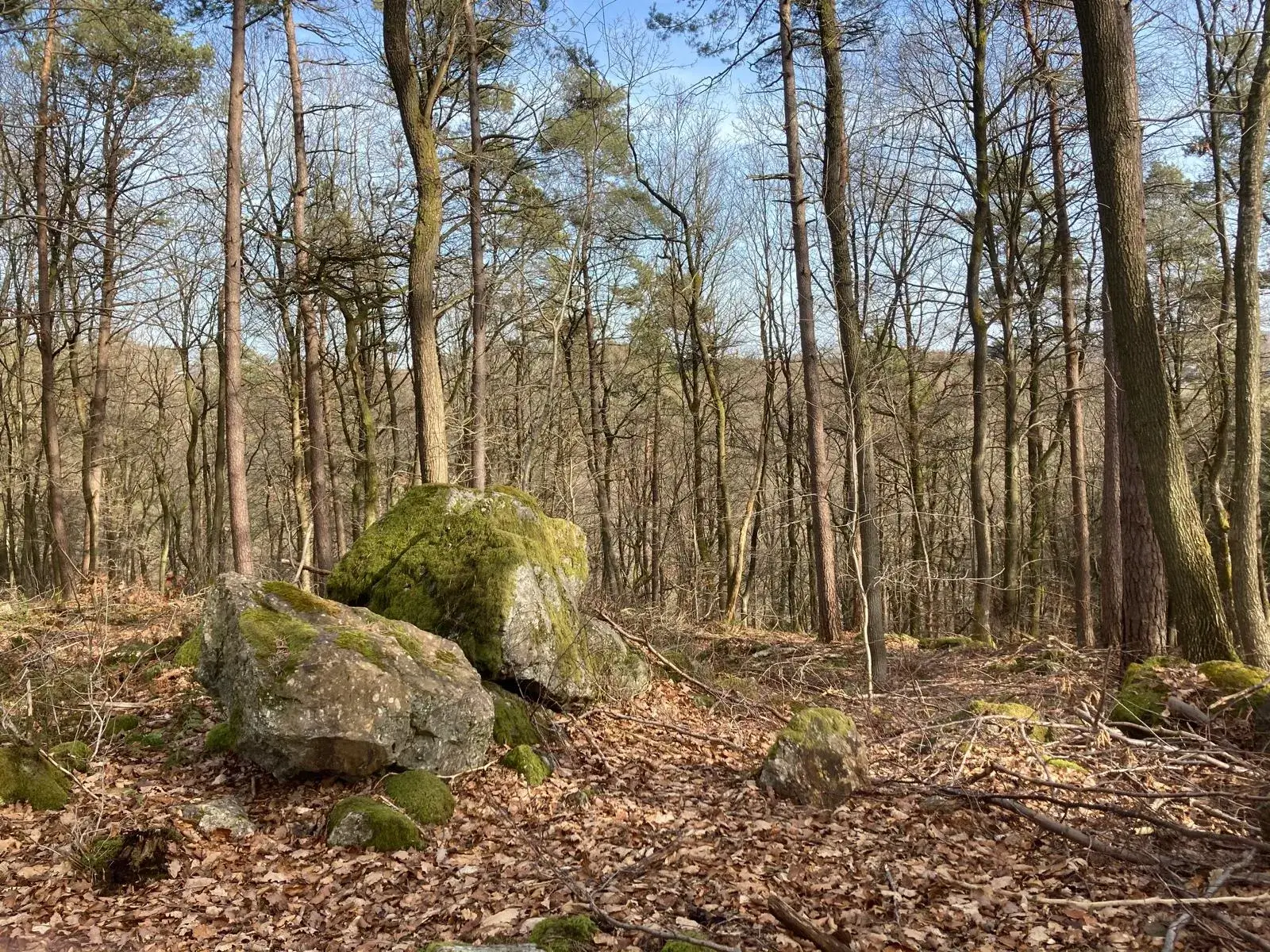 Wandeling afbeelding