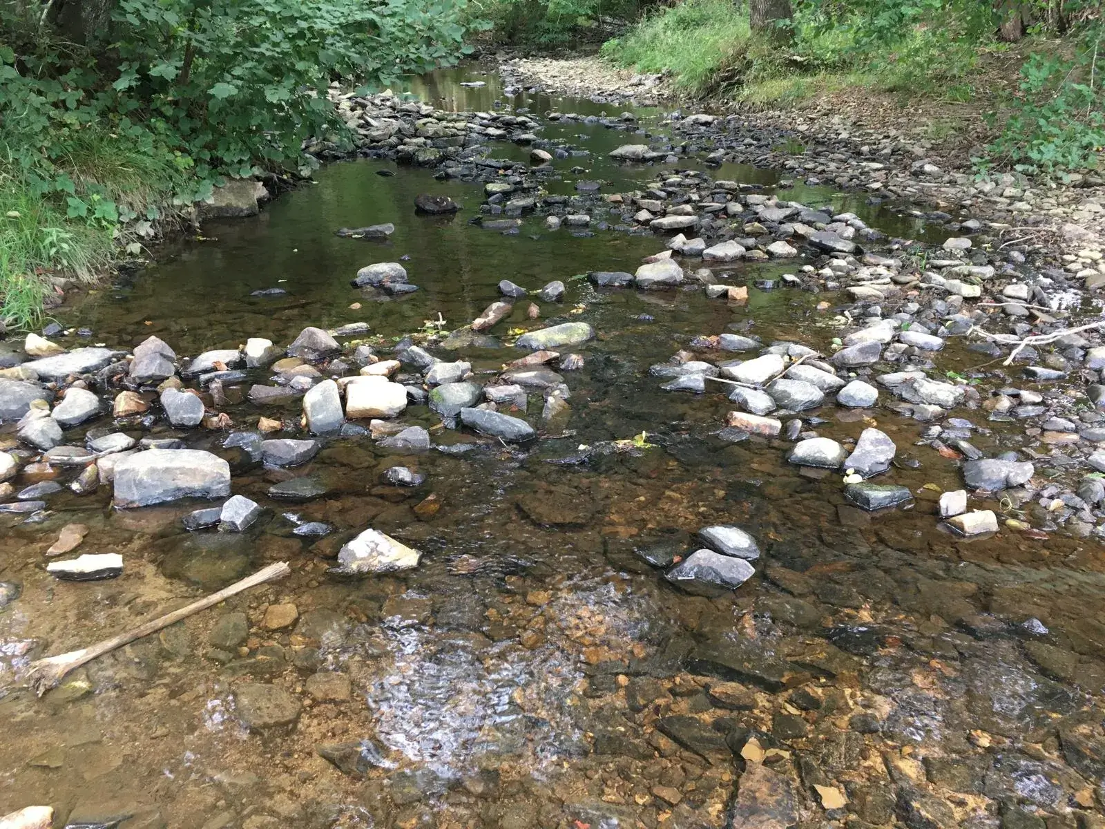 Wandeling afbeelding