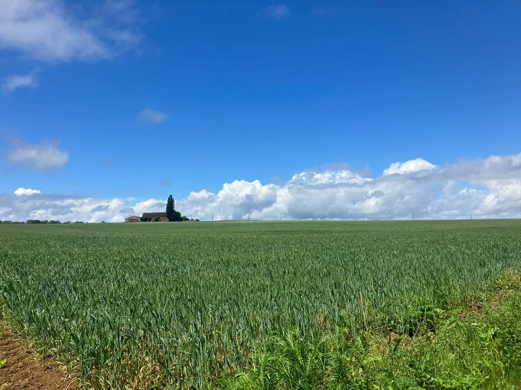 Wandeling afbeelding
