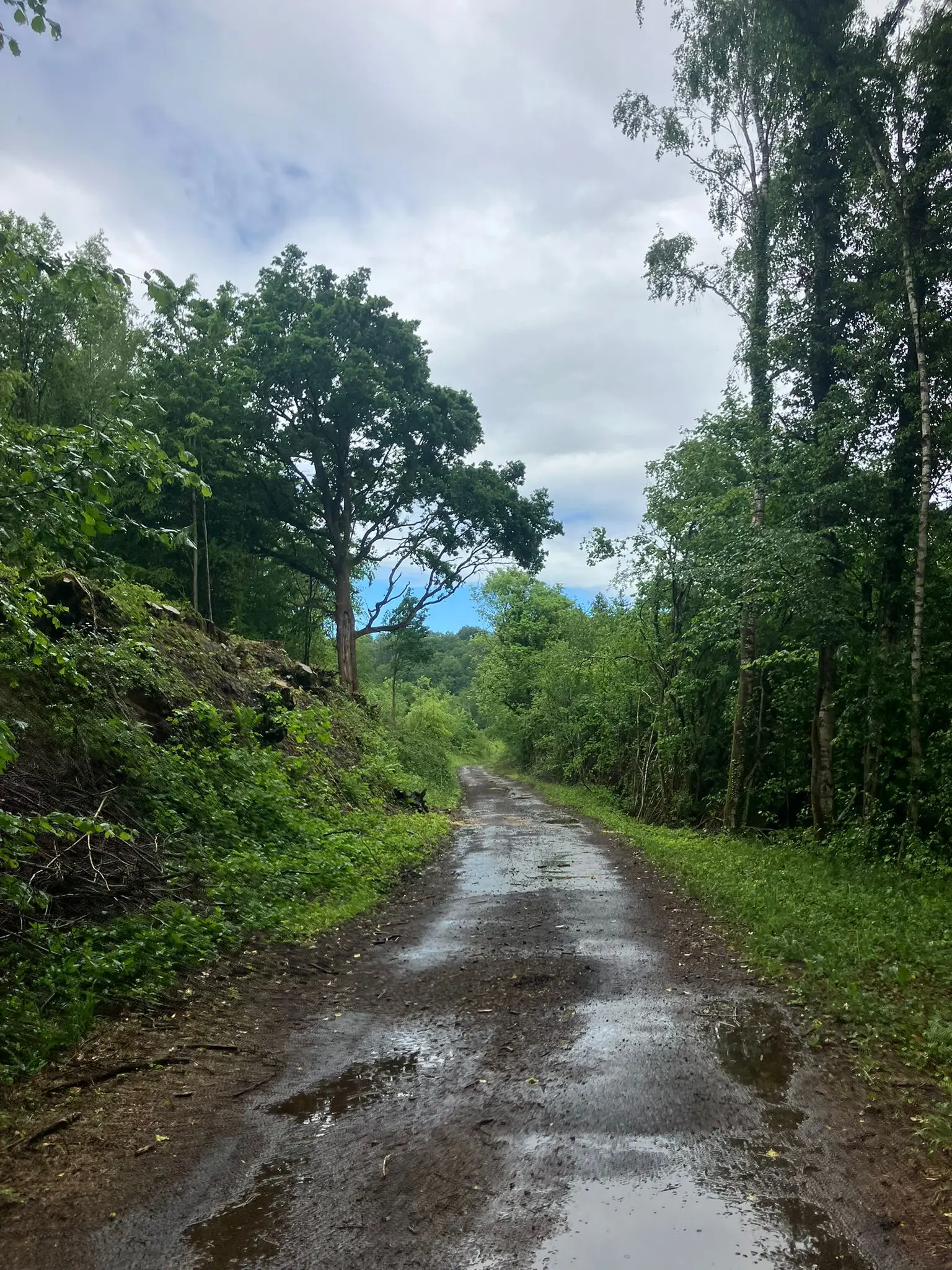 Wandeling afbeelding
