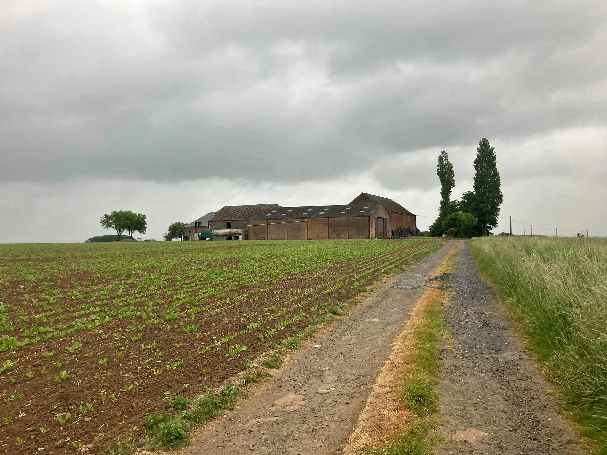 Wandeling afbeelding