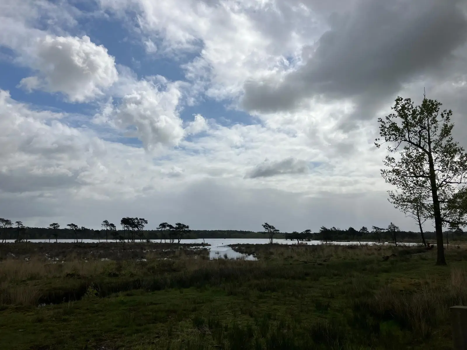Wandeling afbeelding