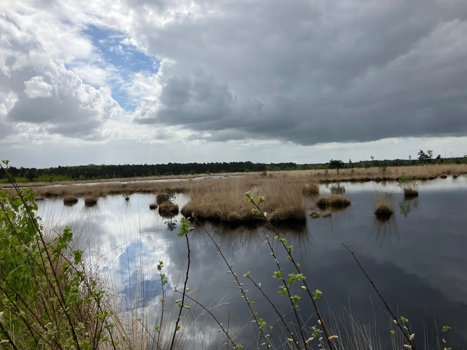 Wandeling afbeelding
