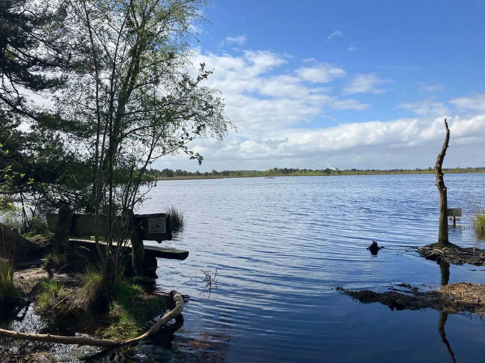 Wandeling afbeelding