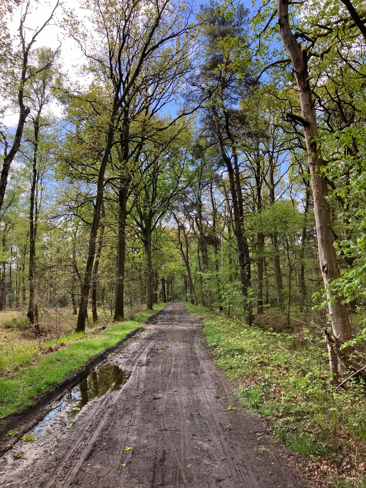 Wandeling afbeelding