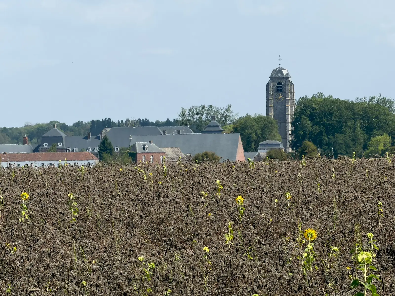 Wandeling afbeelding