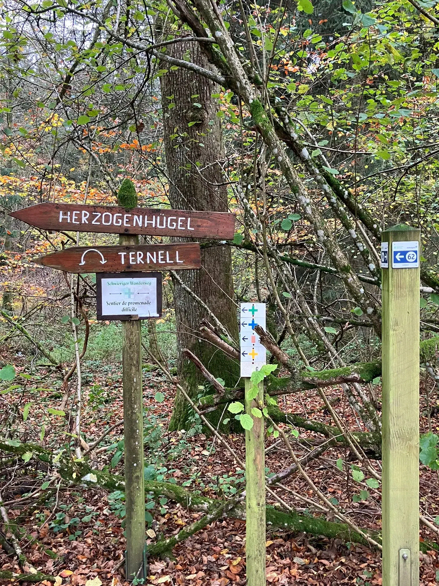 Foto 1 van de wandeling te Eupen