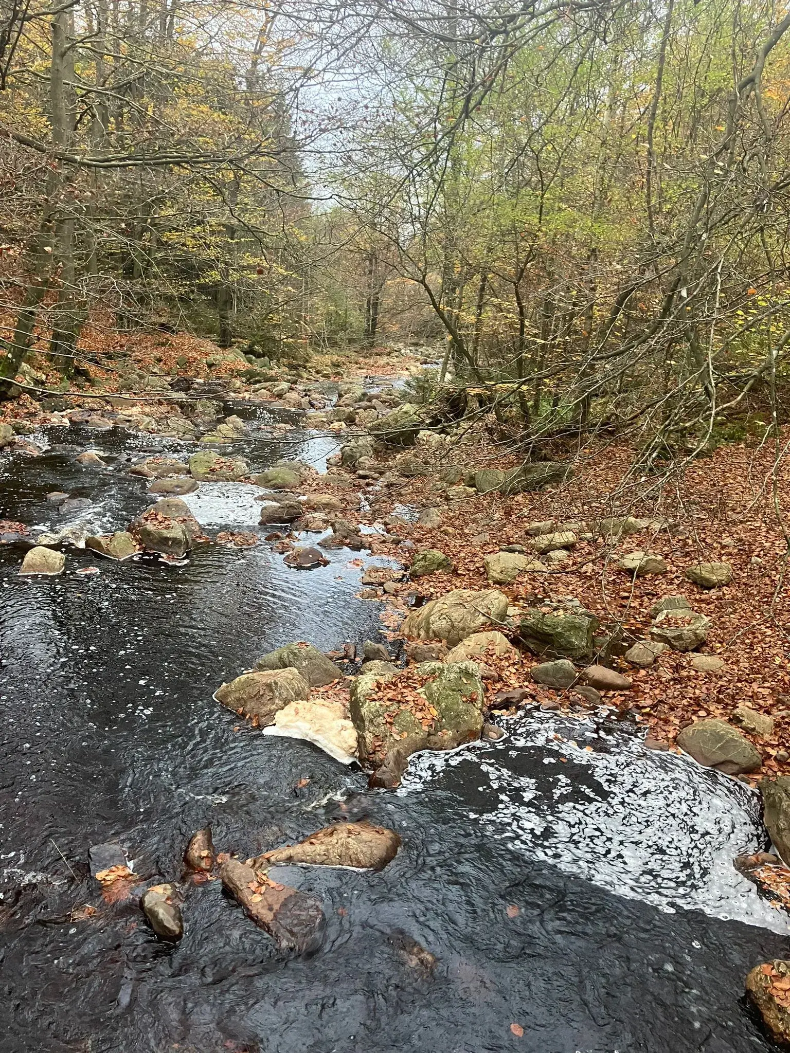Foto 4 van de wandeling te Eupen